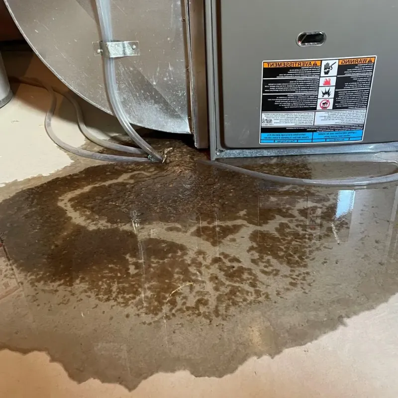 Pipe Burst and Leak Restoration in Millinocket, ME